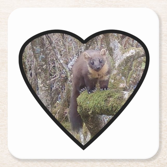 Pine Marten Untersetzer (Vorderseite)
