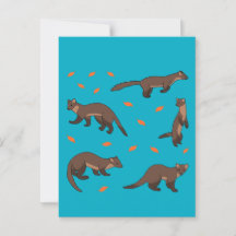 Pine Martens