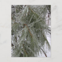 Pine Needles - Ice Holiday