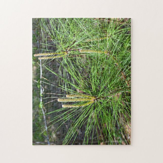 Pine Needles von Kenneth Yoncich (Vertikal)
