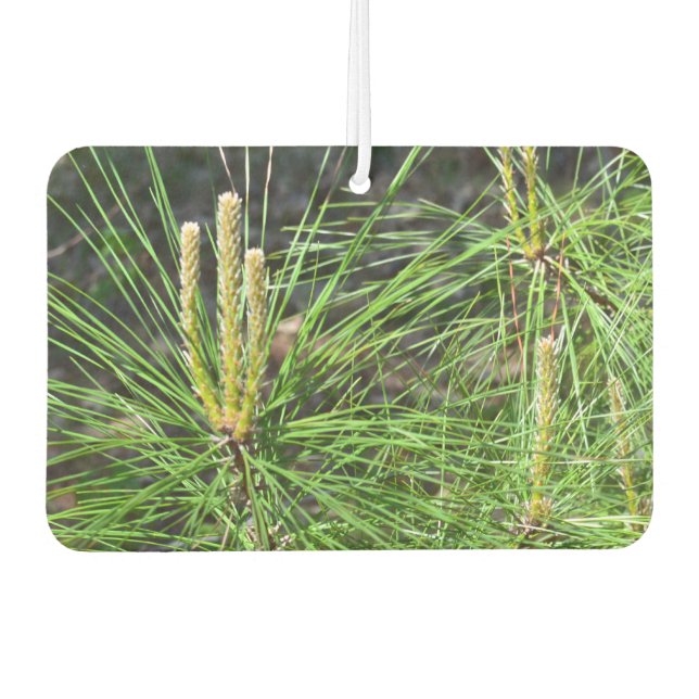 Pine Needles von Kenneth Yoncich Autolufterfrischer (Vorderseite)