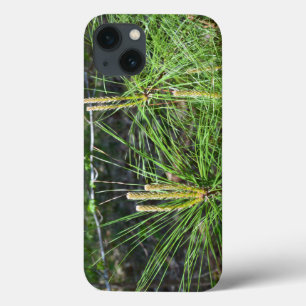 Pine Needles von Kenneth Yoncich iPhone 13 Hülle