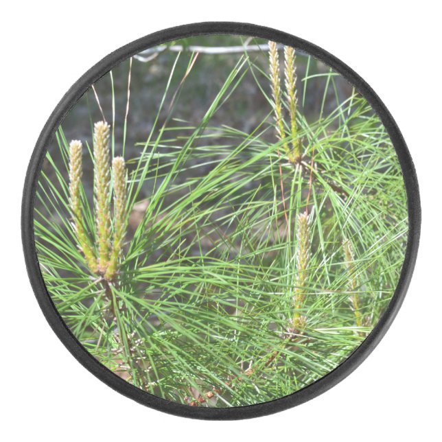Pine Needles von Kenneth Yoncich Eishockey Puck (Vorderseite)