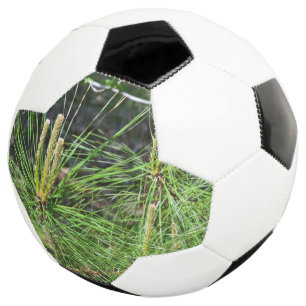 Pine Needles von Kenneth Yoncich Fußball