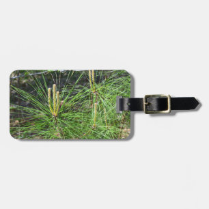 Pine Needles von Kenneth Yoncich Gepäckanhänger