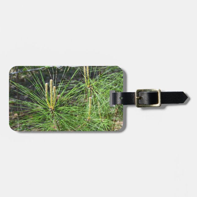 Pine Needles von Kenneth Yoncich Gepäckanhänger (Vorderseite horizontal)