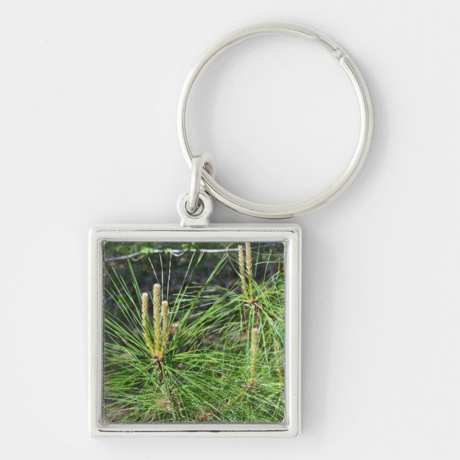 Pine Needles von Kenneth Yoncich Schlüsselanhänger (Vorne)
