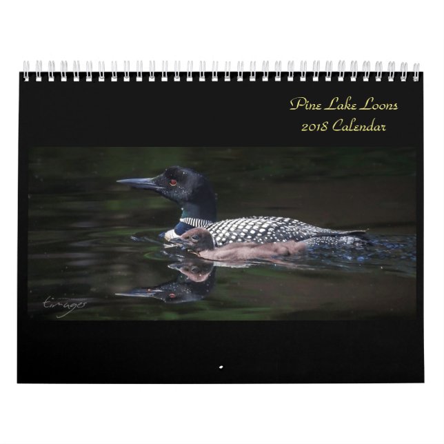Pine Seeloon-Kalender 2018 Kalender (Titelbild)