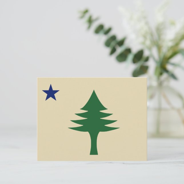Pine tree and star 1901 Fahne des Maine-Staat Postkarte (Stehend Vorderseite)