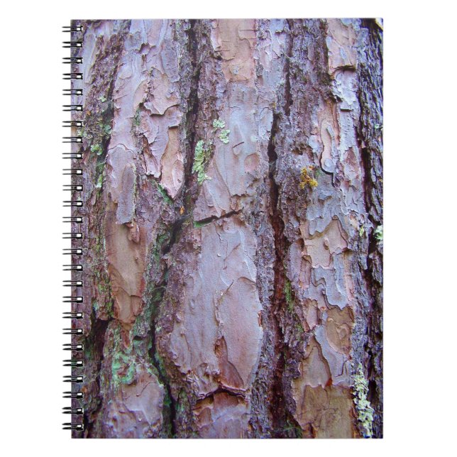 Pine Tree Bark Foto Notebook Notizblock (Vorderseite)