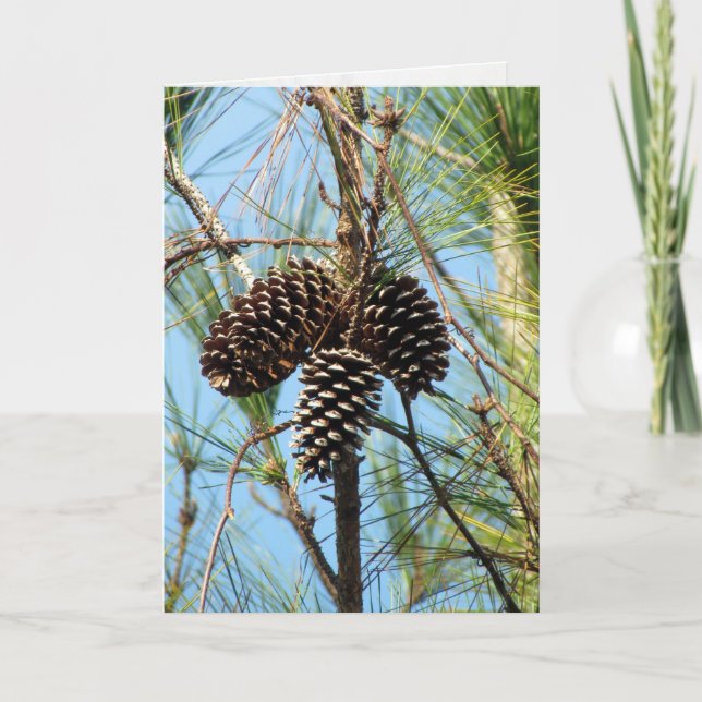 Pine Tree Card Karte (Vorderseite)