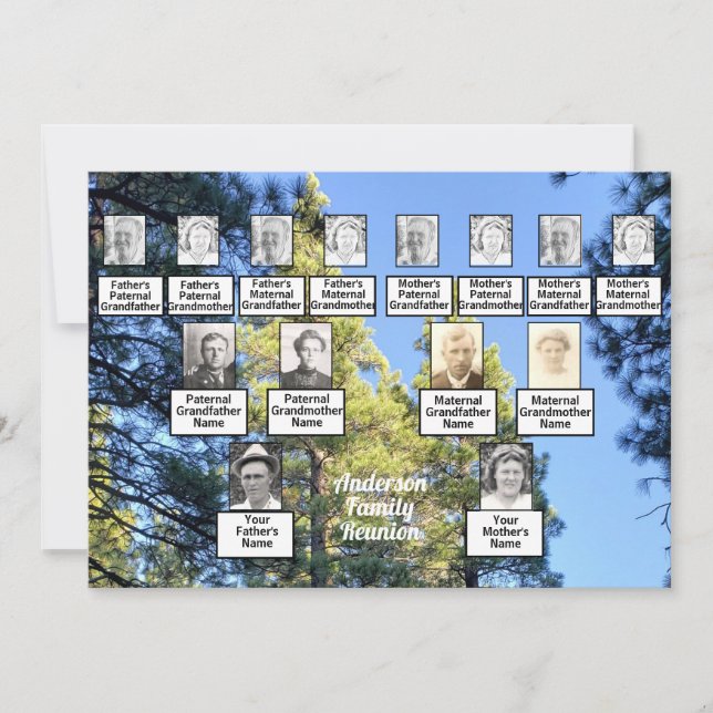 Pine Tree Forest Foto 3 Generation Family Wiederse Einladung (Vorderseite)