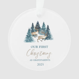 Pine Tree Forest Reindeder Notre Premier Noël
