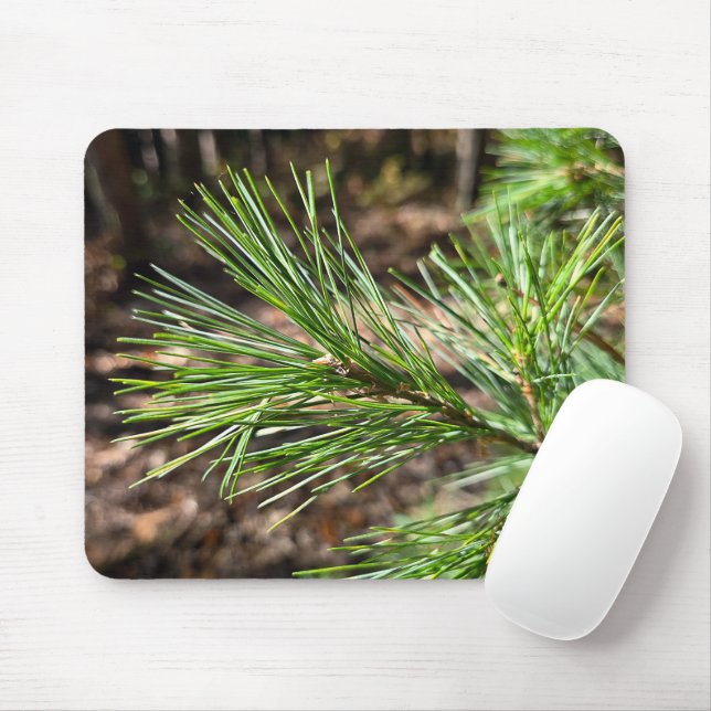 Pine Tree Needles In Sunlight Mousepad (Mit Mouse)
