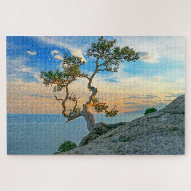 Pine Tree on Rocks Naturscape Landschaft Ozean Son (Horizontal)