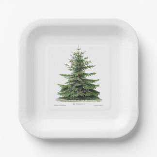 Pine Tree Plate Feiertag Weihnachtsessen Party Abe Pappteller