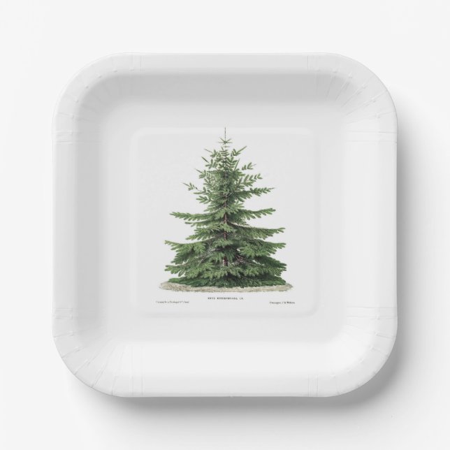 Pine Tree Plate Feiertag Weihnachtsessen Party Abe Pappteller (Vorderseite)