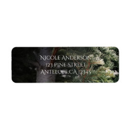 Pine Tree Rustic Forest Woods Hochzeit Einladung