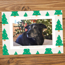 Pine Trees Holiday Photo Card