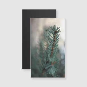 Pine Trees Magnetkarte