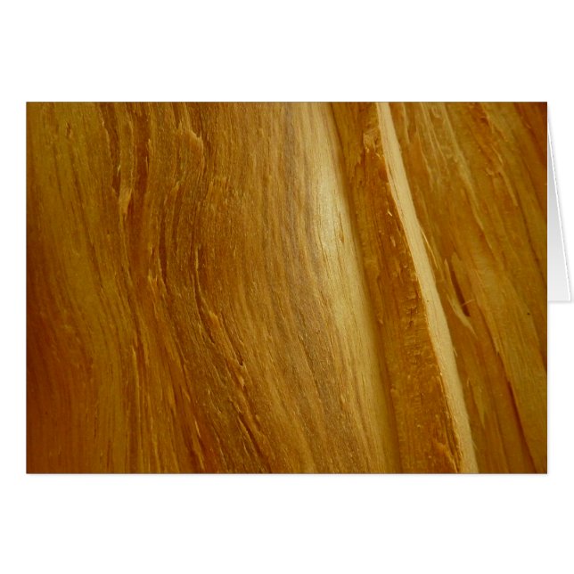 Pine Wood II Faux Texture en bois (Devant Horizontal)