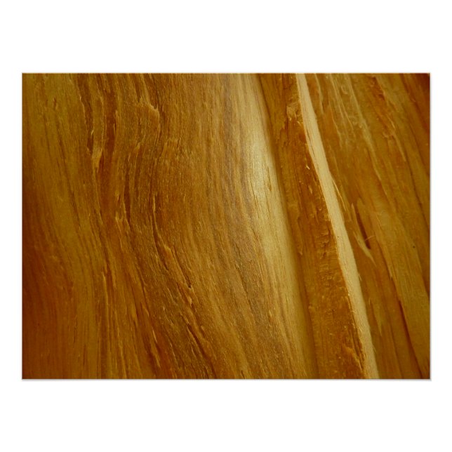 Pine Wood II Imitate Holzgewebe Poster (Vorderseite)