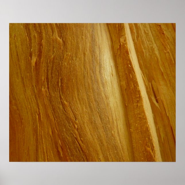 Pine Wood II Imitate Holzgewebe Poster (Vorne)