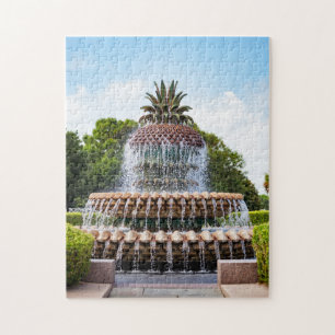Pineapple Fountain in Charleston,