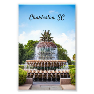 Pineapple Fountain in Charleston, SC Fotodruck