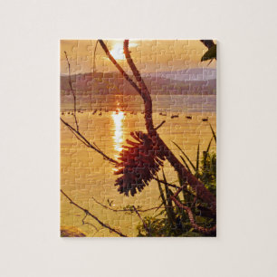 Pinecone