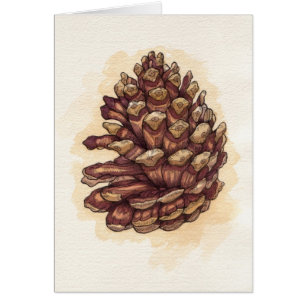 Pinecone