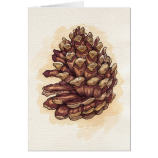 Pinecone