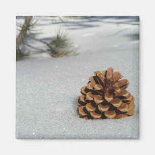Pinecone auf dem Schnee-Magneten Magnet
