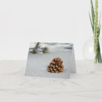 Pinecone auf der Schneekarte Karte