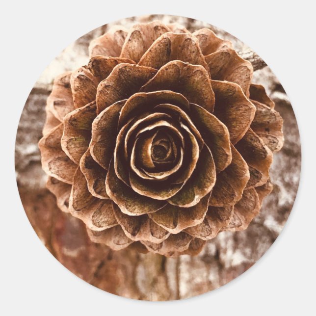 Pinecone Autumn Stickers (Vorderseite)