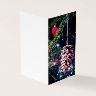 Pinecone et baureau rouge