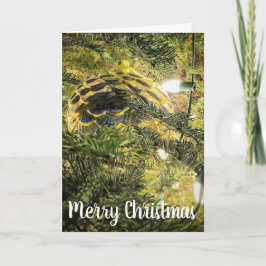 Pinecone Feiertagskarte