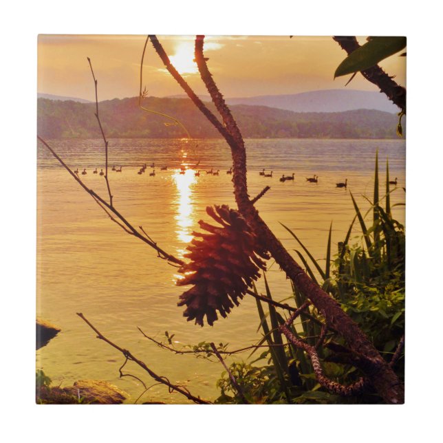 Pinecone Fliese (Vorderseite)