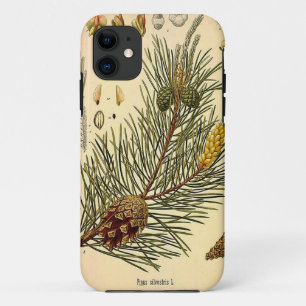 Pinecone Kiefern-Baum-Vintager botanischer Druck Case-Mate iPhone Hülle