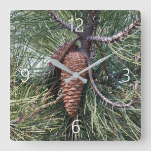 Pinecone on the pine tree quadratische wanduhr