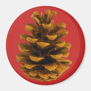 Pinecone rustikale Natur Brauner Fall Magnet