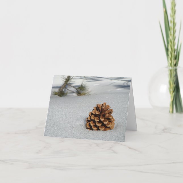 Pinecone sur le Carte pour notes de neige (Devant)