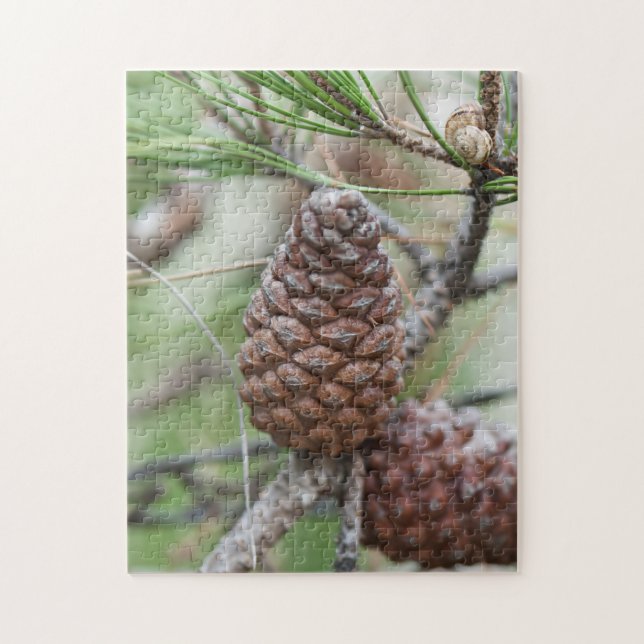 Pinecones (Vertikal)