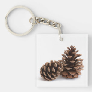 Pinecones