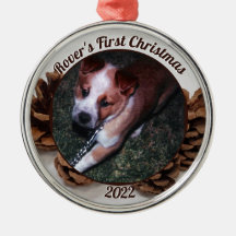 Pinecones Das erste Weihnachtsfest des Hauses mit 