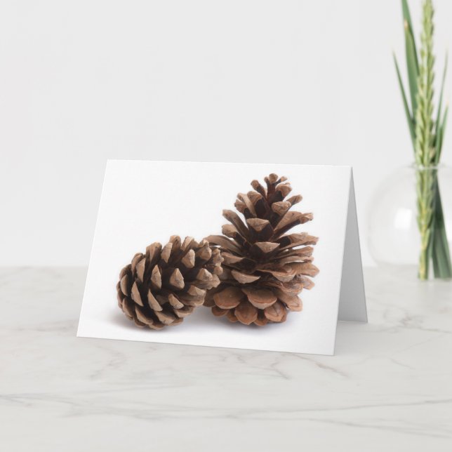 Pinecones Feiertagskarte (Vorderseite)