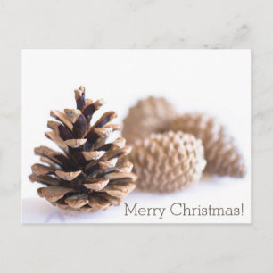 Pinecones Feiertagspostkarte