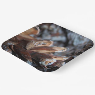 Pinecones Herbst Natur serviert Pappteller