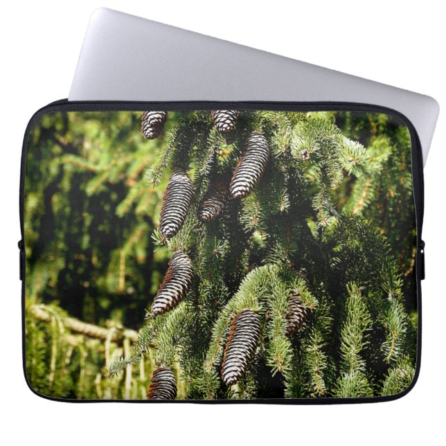 Pinecones Laptopschutzhülle (Vorderseite)