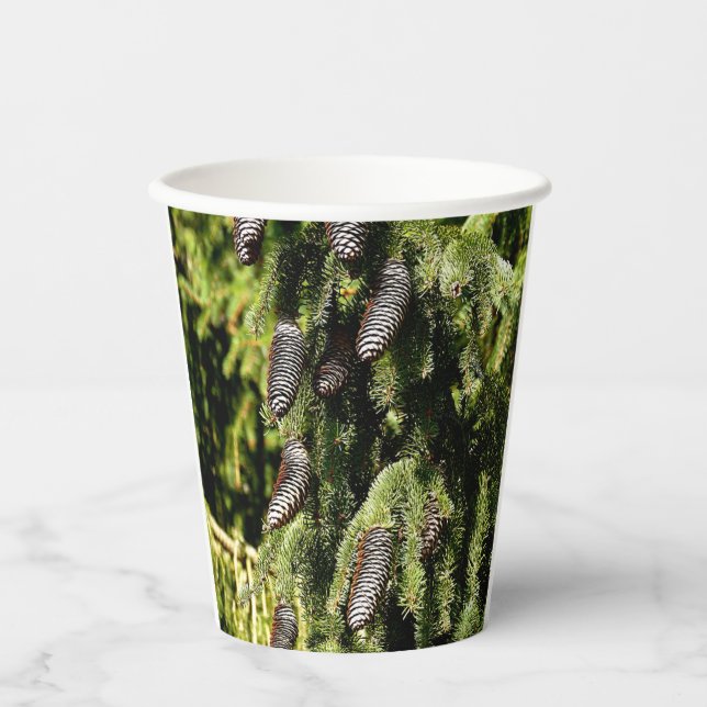 Pinecones Pappbecher (Vorderseite)